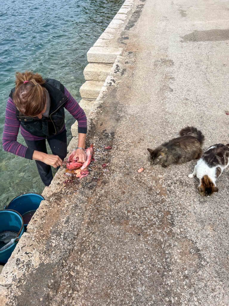 Mljet National Park