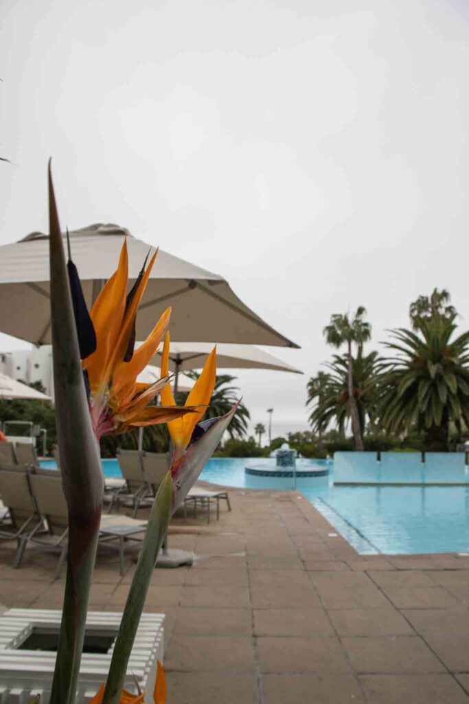 President Hotel Kaapstad