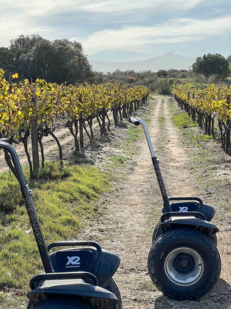 Segway op Spier in Stellenbosch