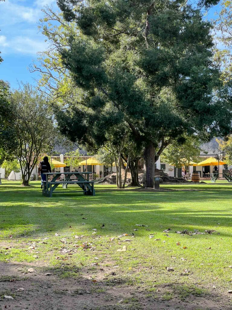 Spier in Stellenbosch