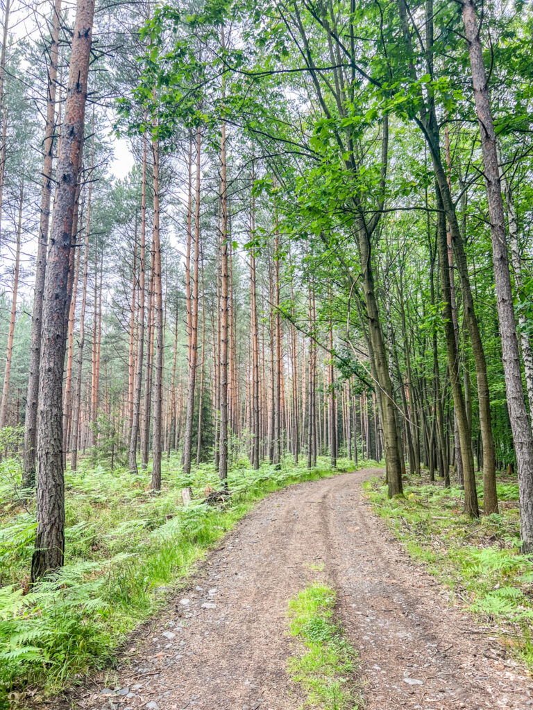 Hřebenovka etappe 2