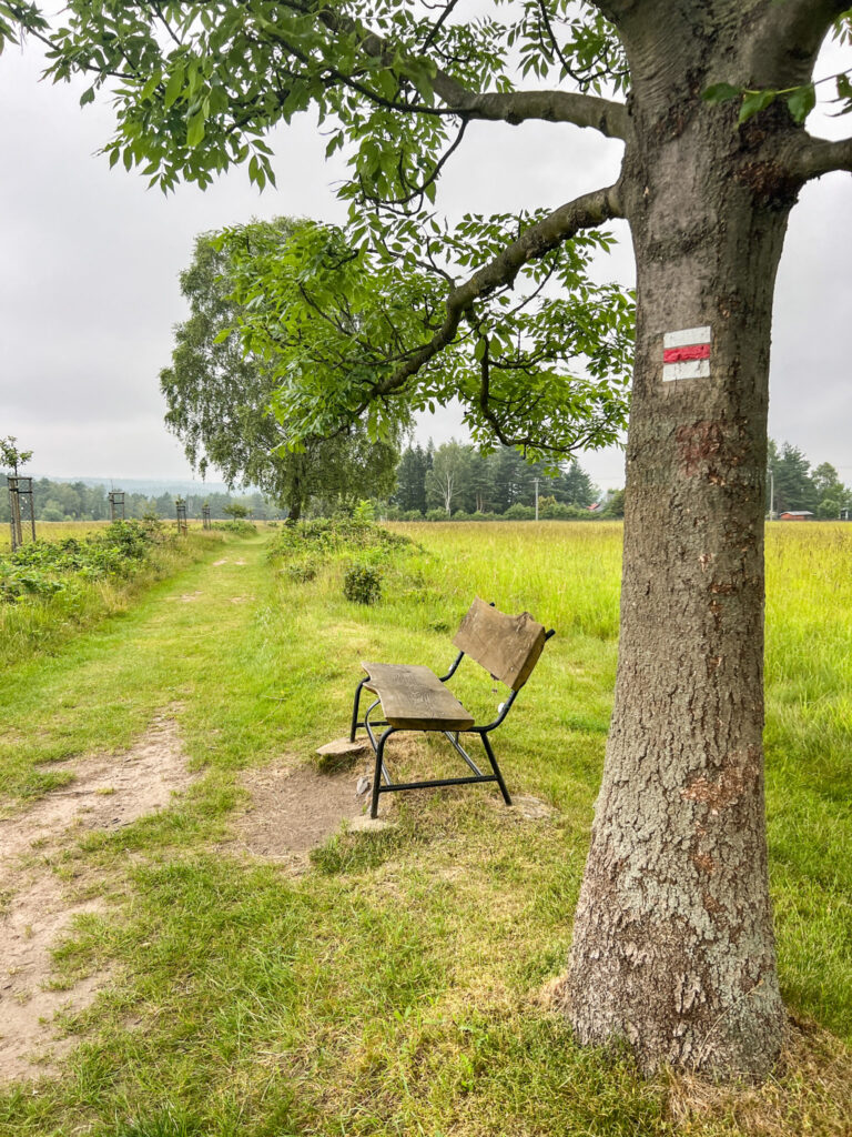 Hřebenovka etappe 2