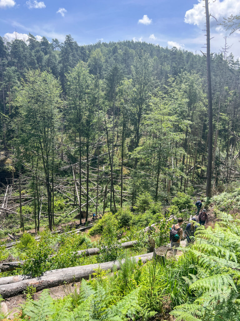 Hřebenovka etappe 3