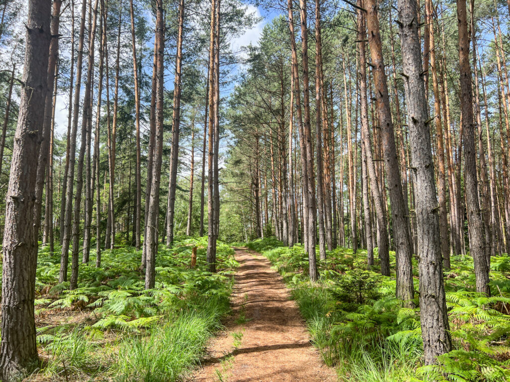 Hřebenovka etappe 3