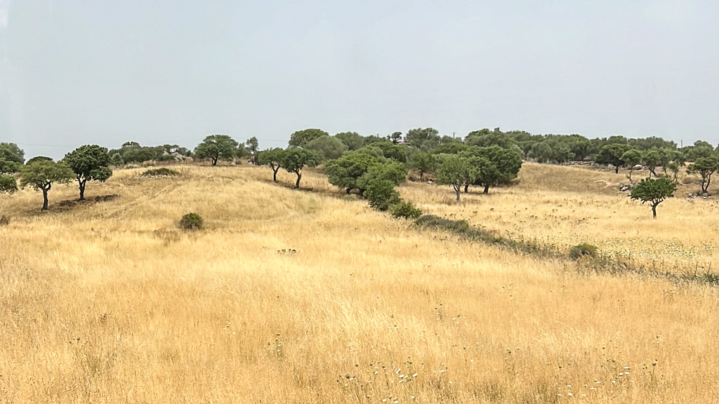 Rondreis Sardinië met openbaar vervoer