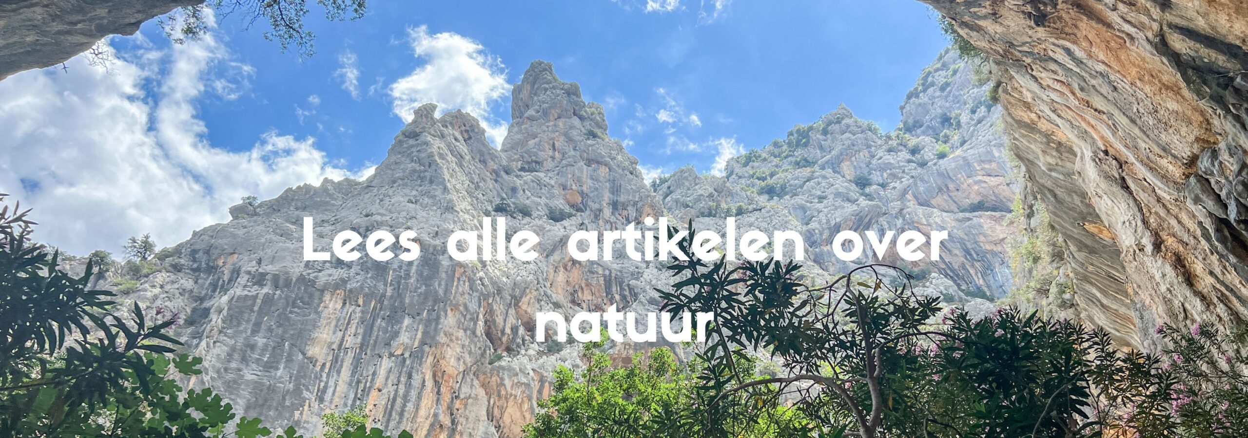 alle artikelen over de natuur in Europa