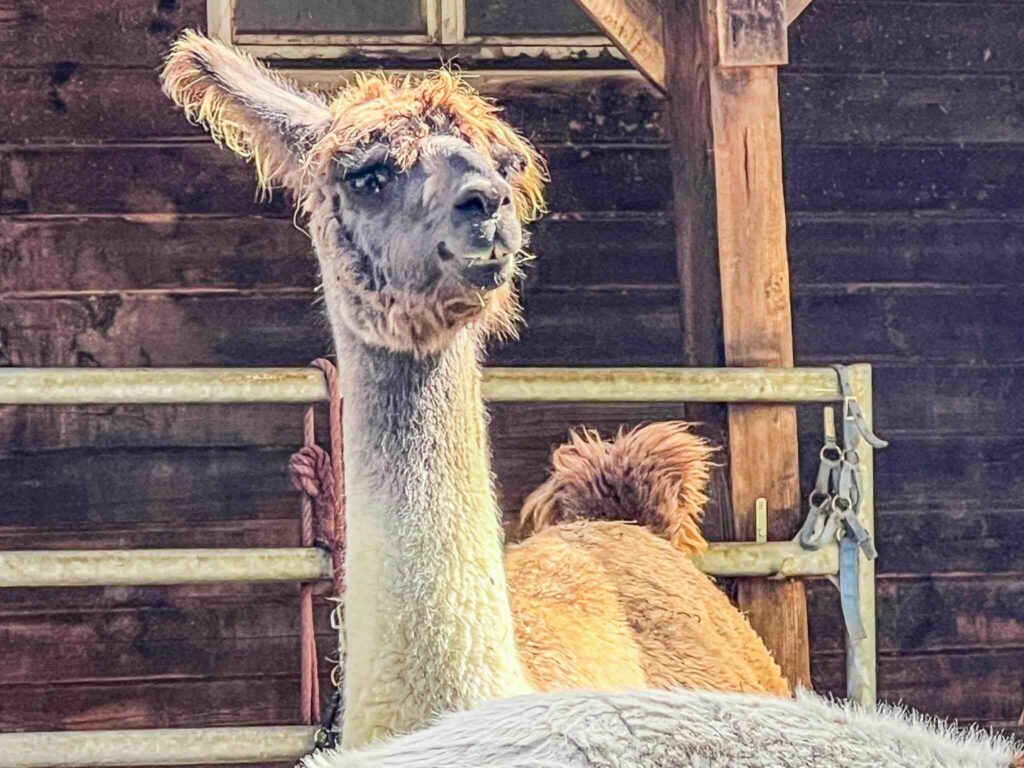 Liechtenstein Trail etappe 1
