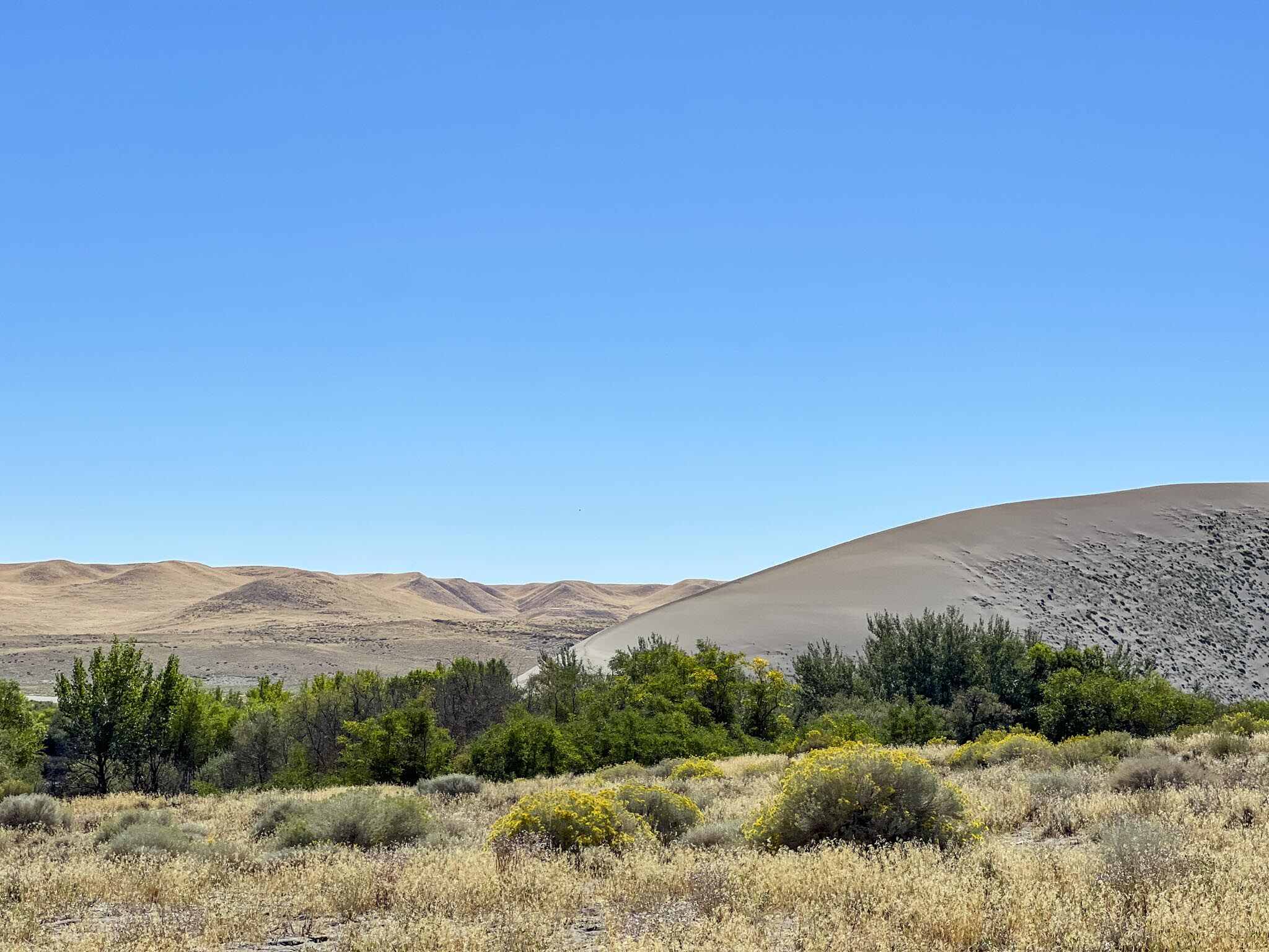 Bruneau Dunes