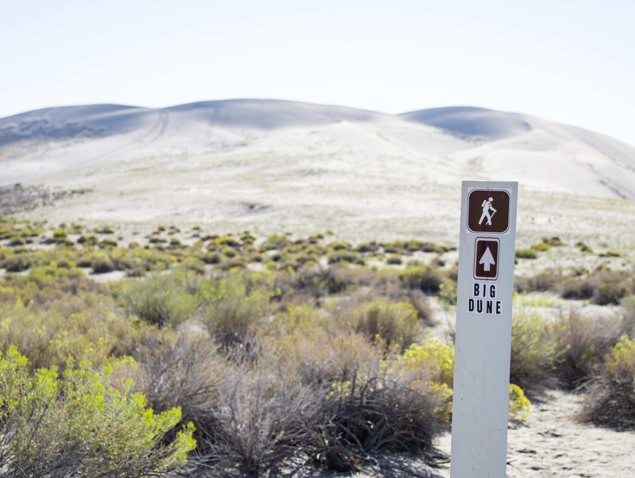 Bruneau Dunes in Idaho