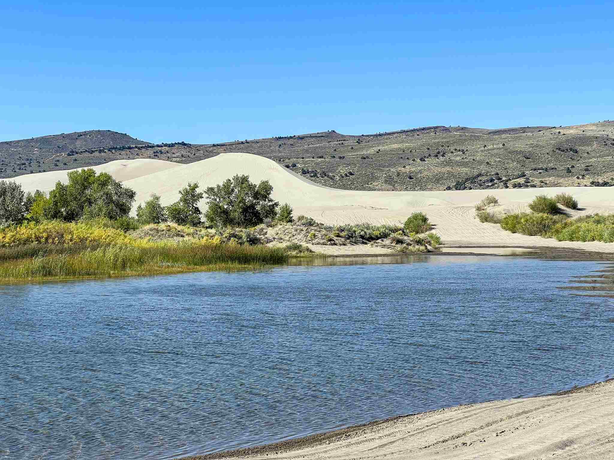 St Anthony Sand Dunes in Idaho