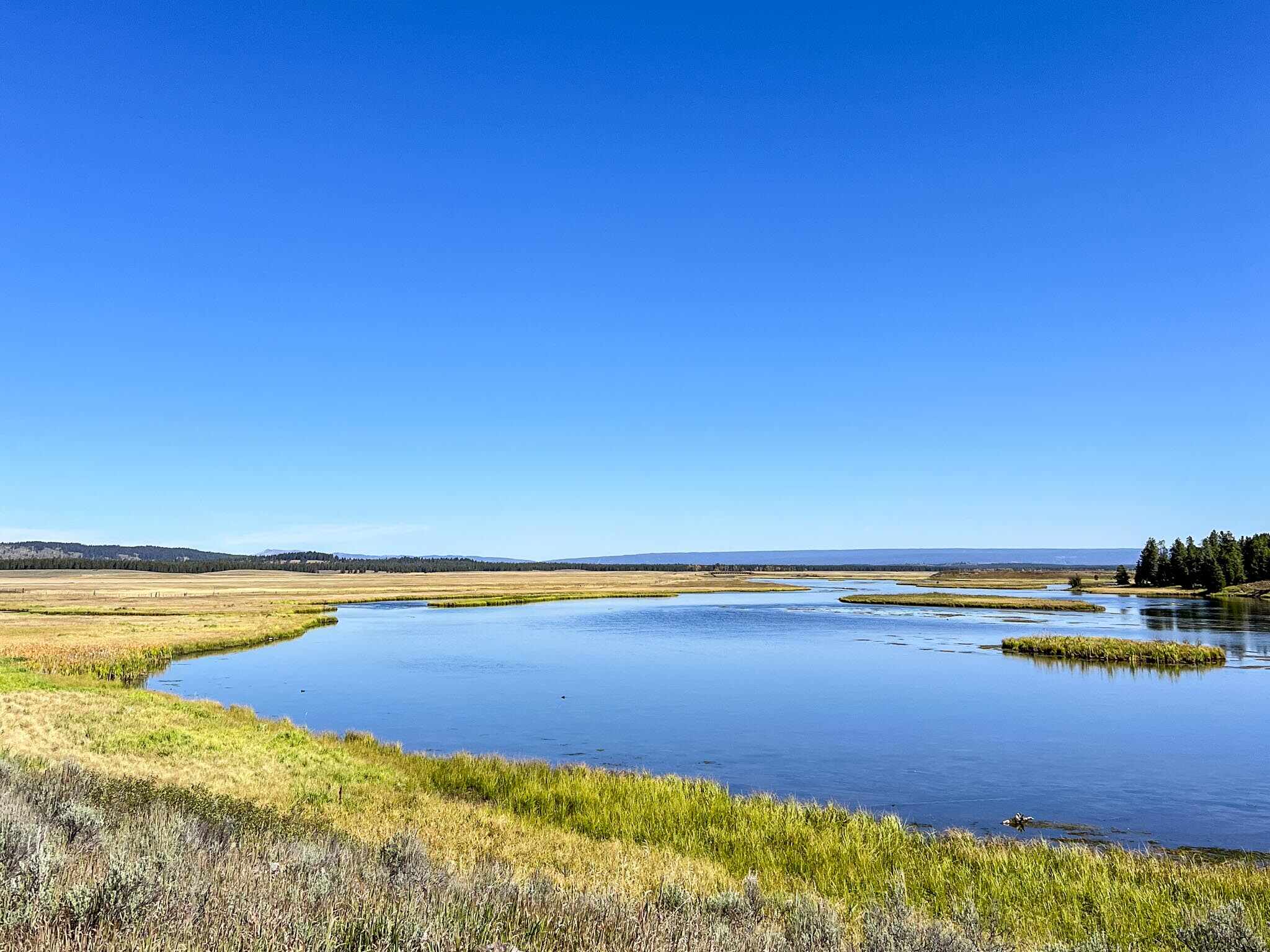 Harriman State Park Idaho