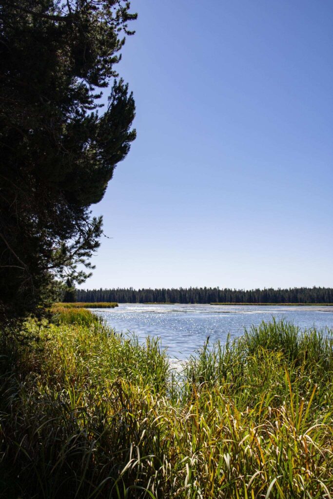 Harriman State Park in Idaho