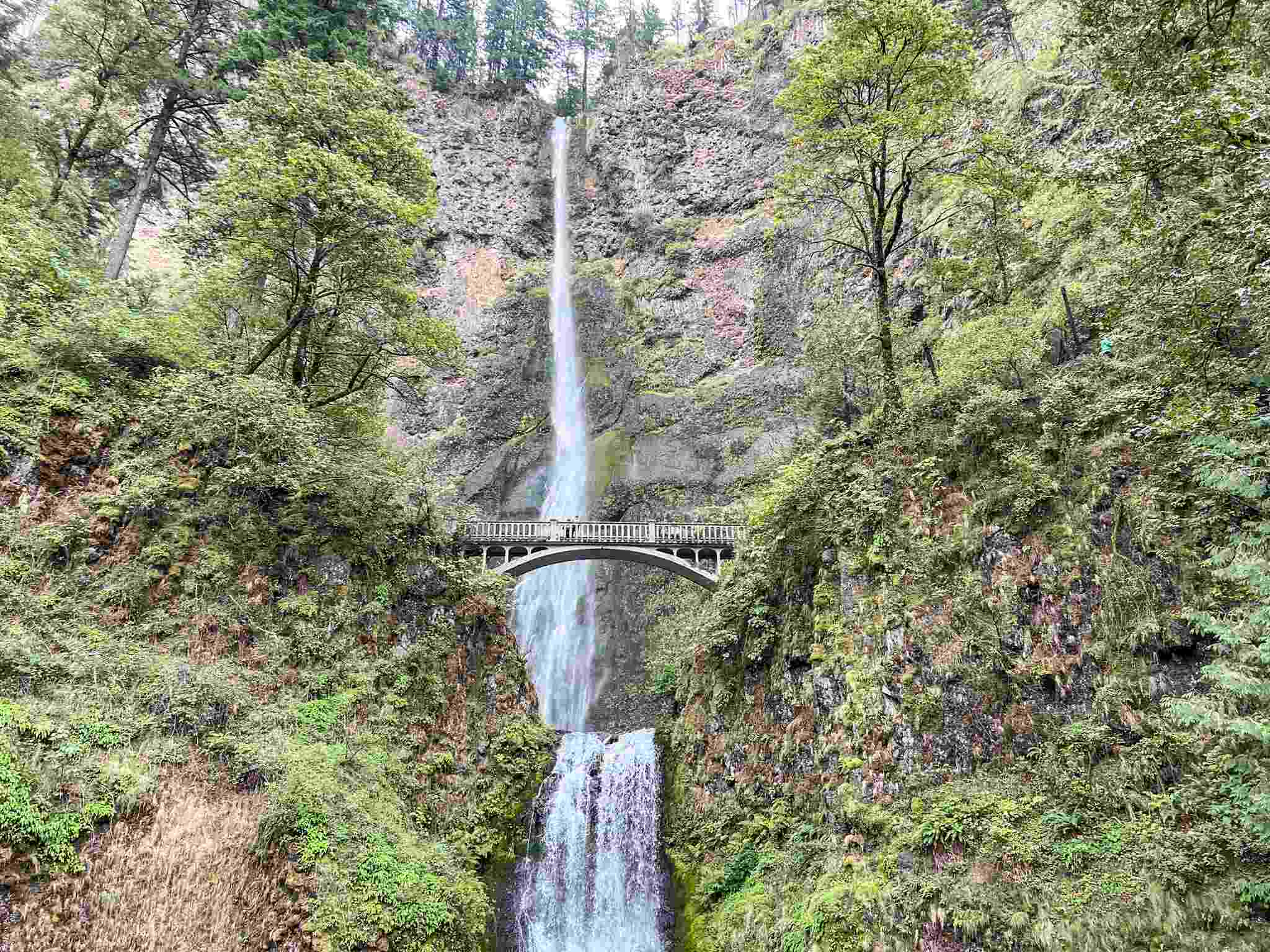 Multnomah Falls in Oregon