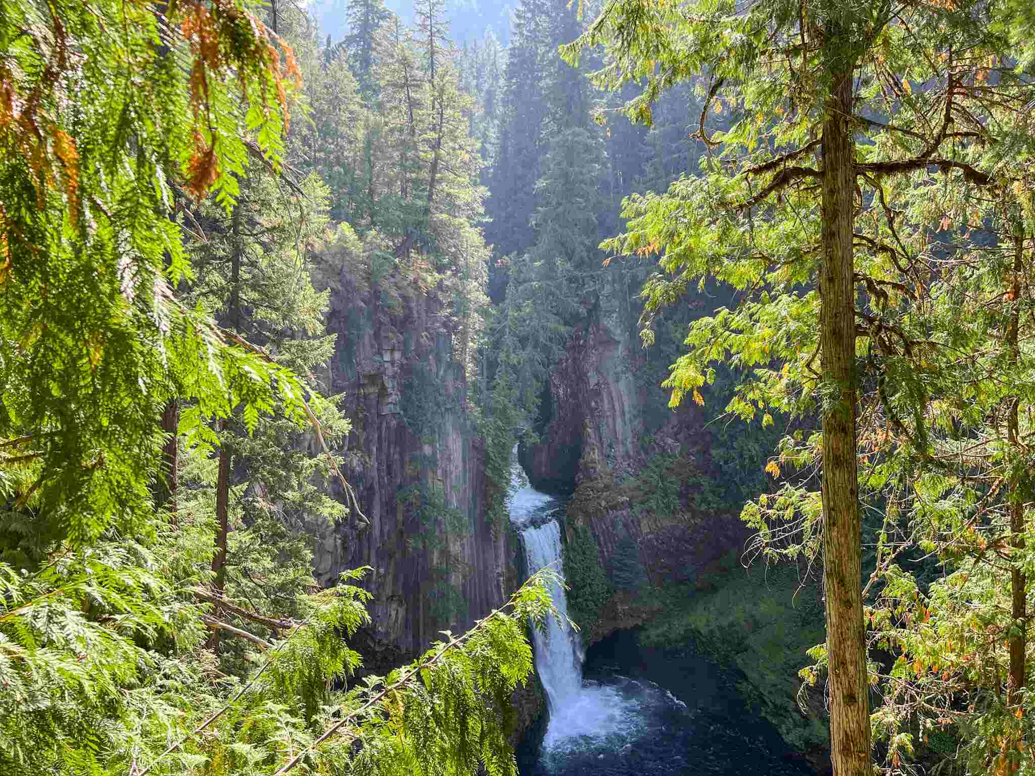 Waterfall Highway Oregon