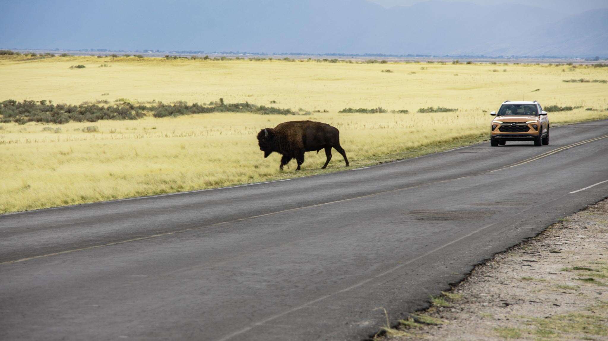 Antelope Island State Park