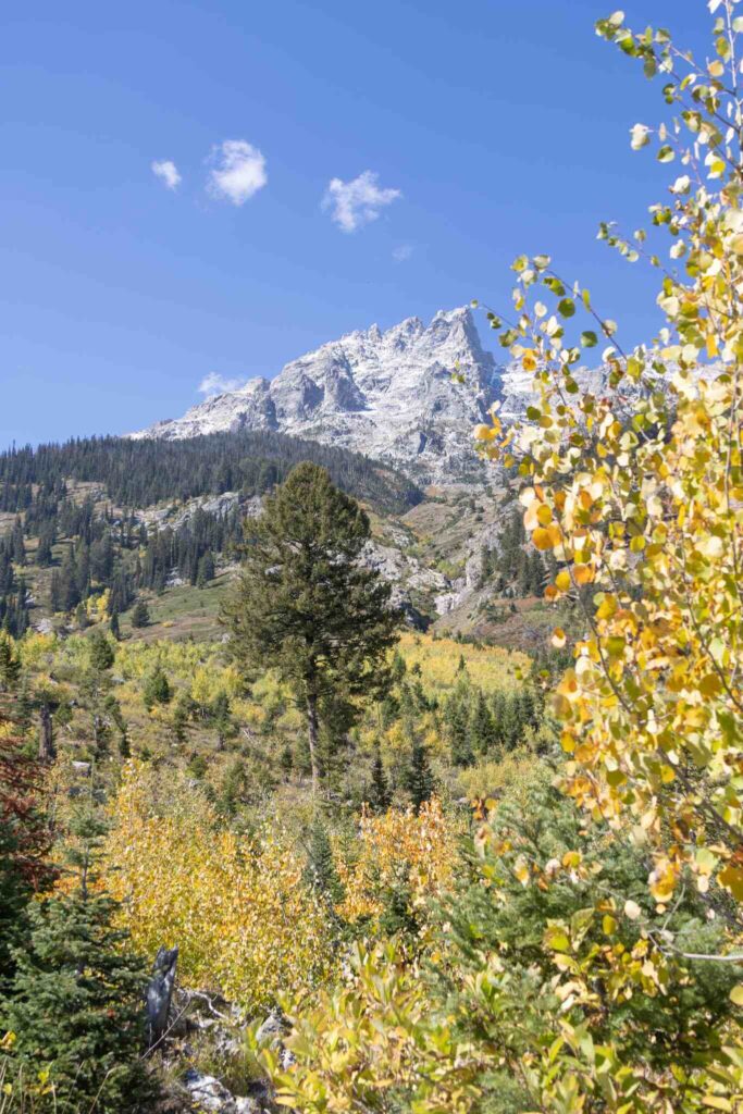 Moose Pond Trail Grand Teton National Park