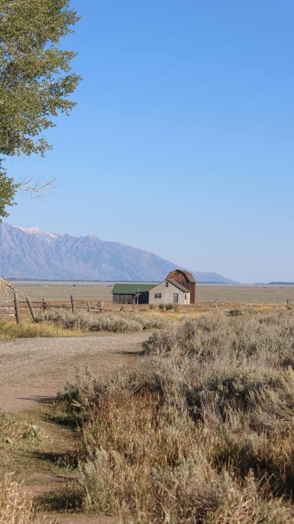 Mormon Row Grand Teton National Park