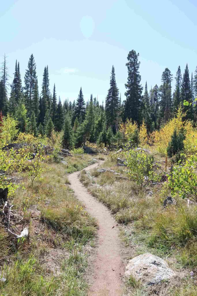 Moose Pond Trail Grand Teton National Park