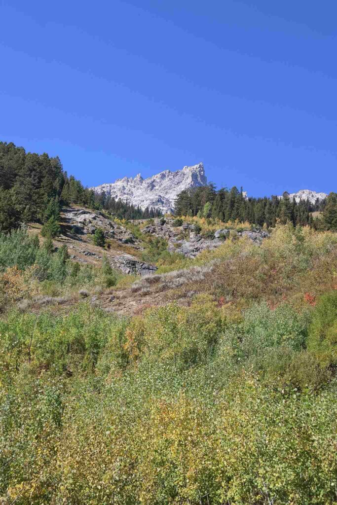 Moose Pond Trail Grand Teton National Park