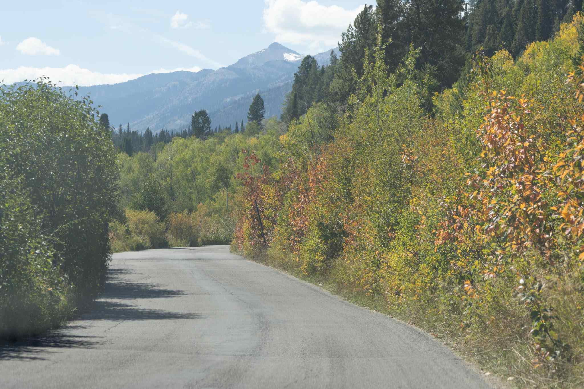 Scenic Drives in   Grand Teton National Park