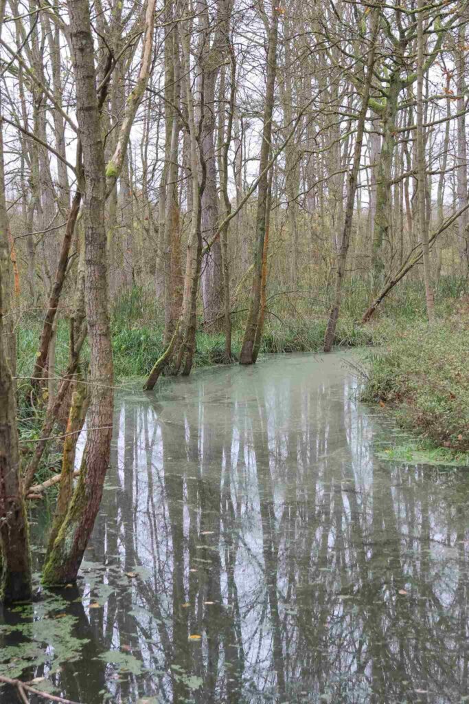 Treinstapper St Joris Weert - Leuven