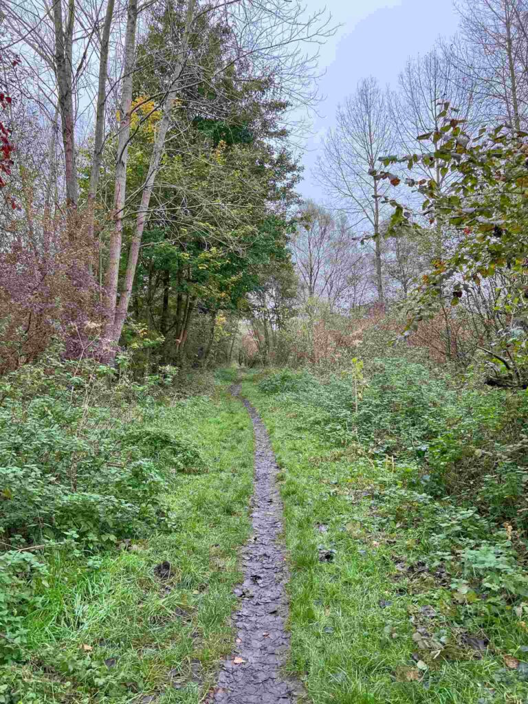 Treinstapper St Joris Weert - Leuven