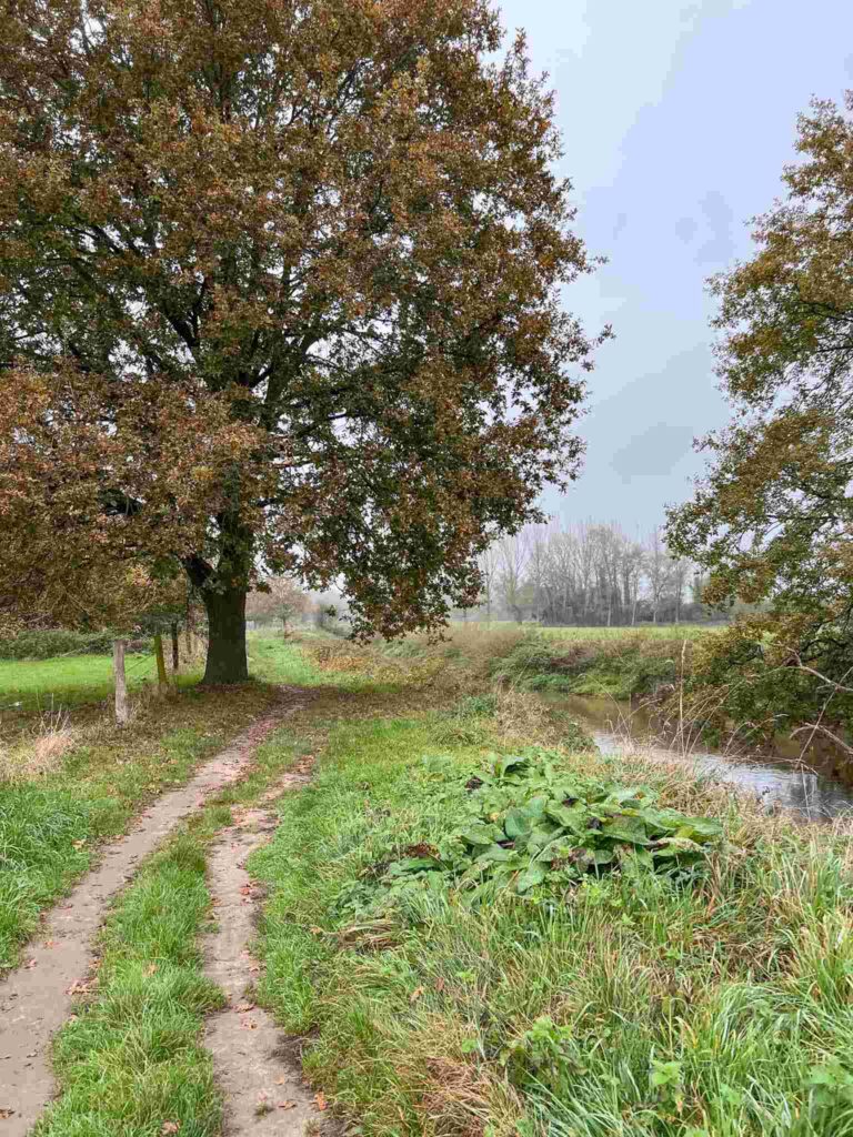 Treinstapper St Joris Weert - Leuven