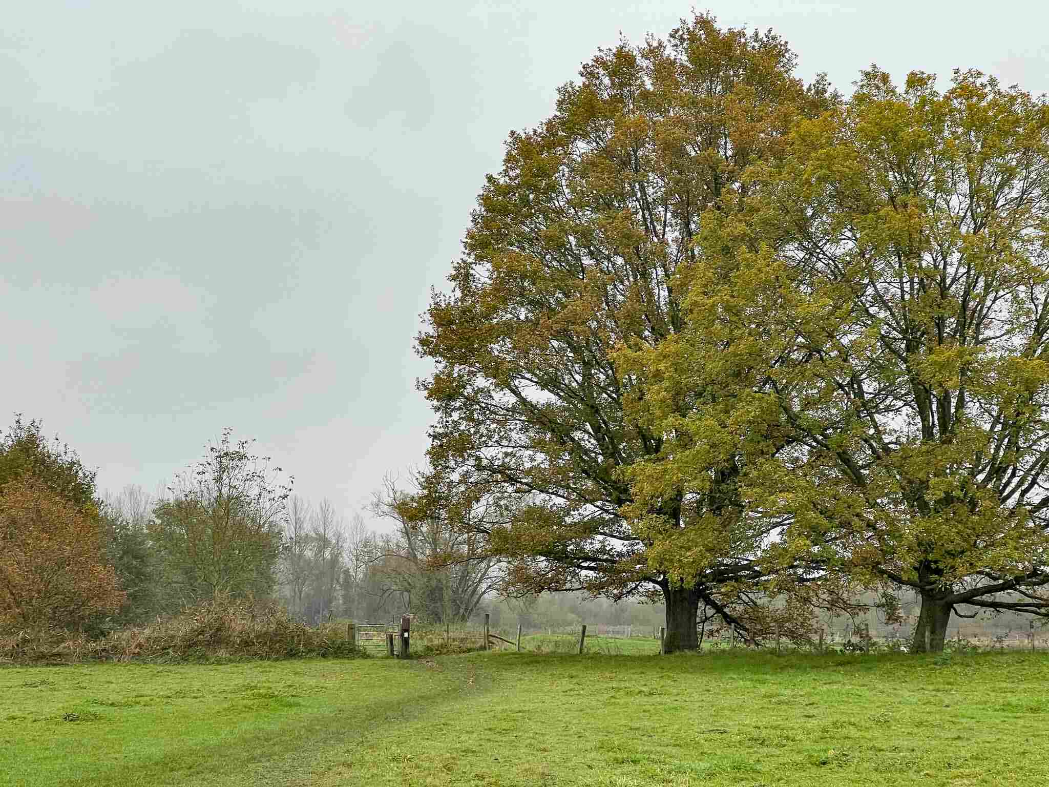 Treinstapper St Joris Weert - Leuven Brabantse Wouden