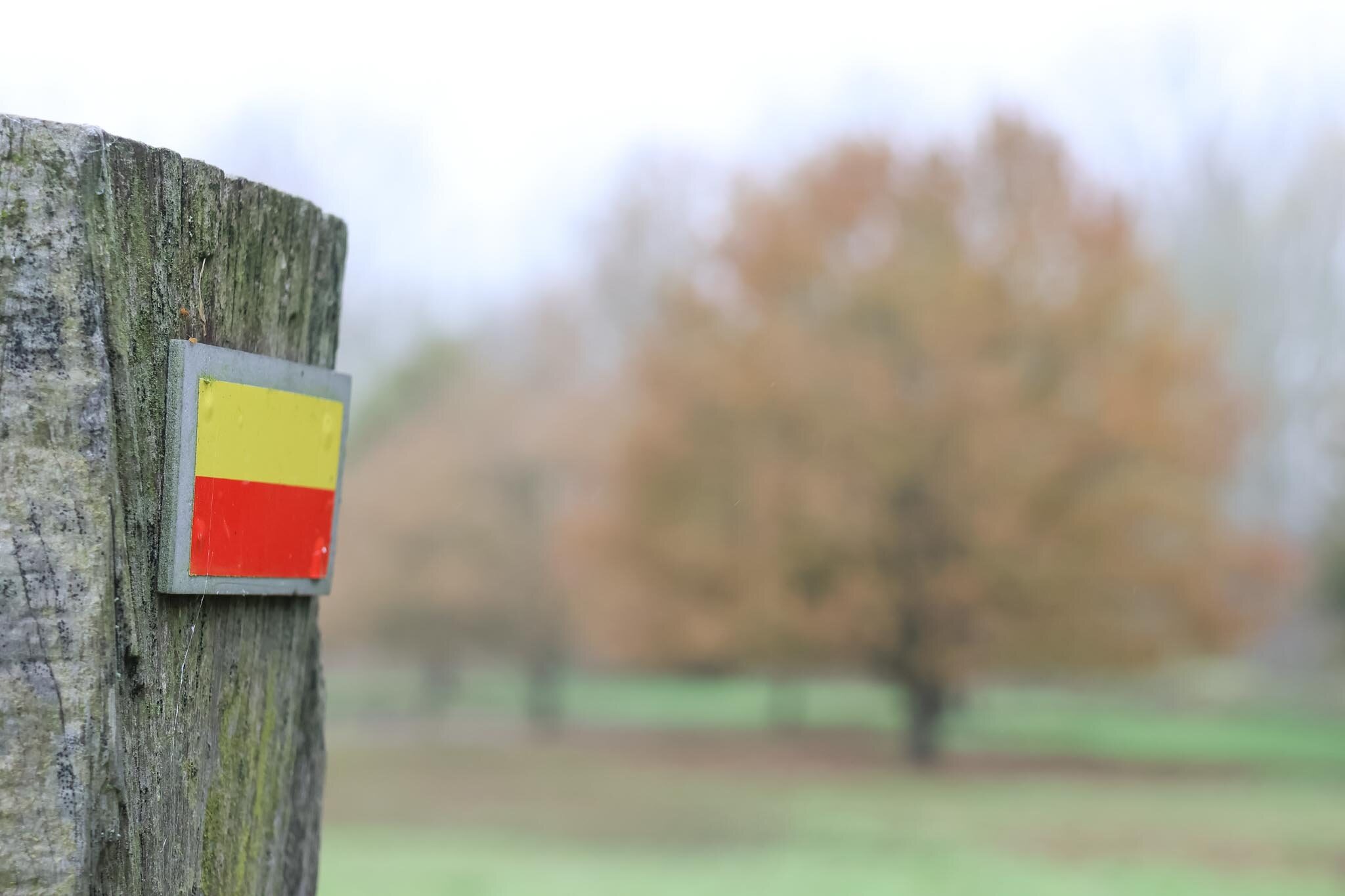 Treinstapper St Joris Weert - Leuven