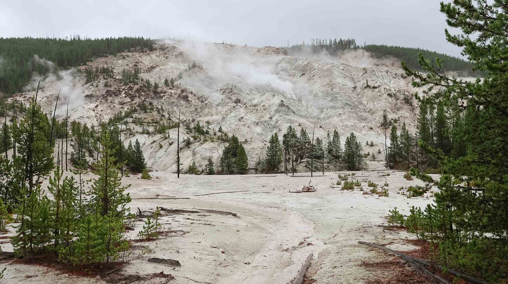 Roaring Mountain Yellowstone National Park