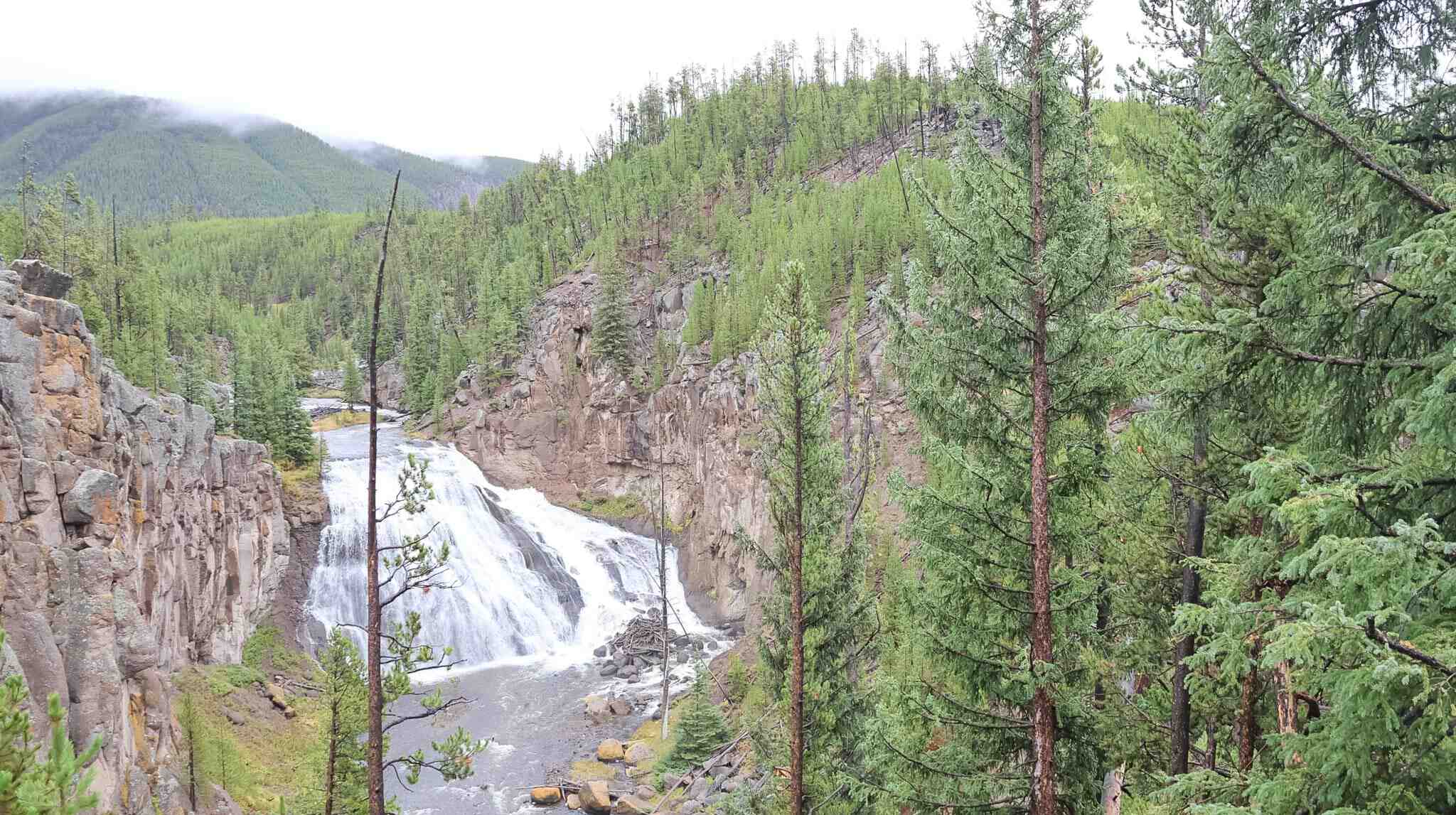 Gibbon Falls in Yellowstone National Park