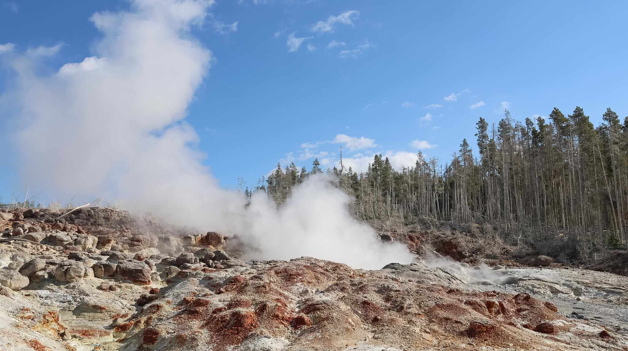 Norris Geyser Yellowstone National Park