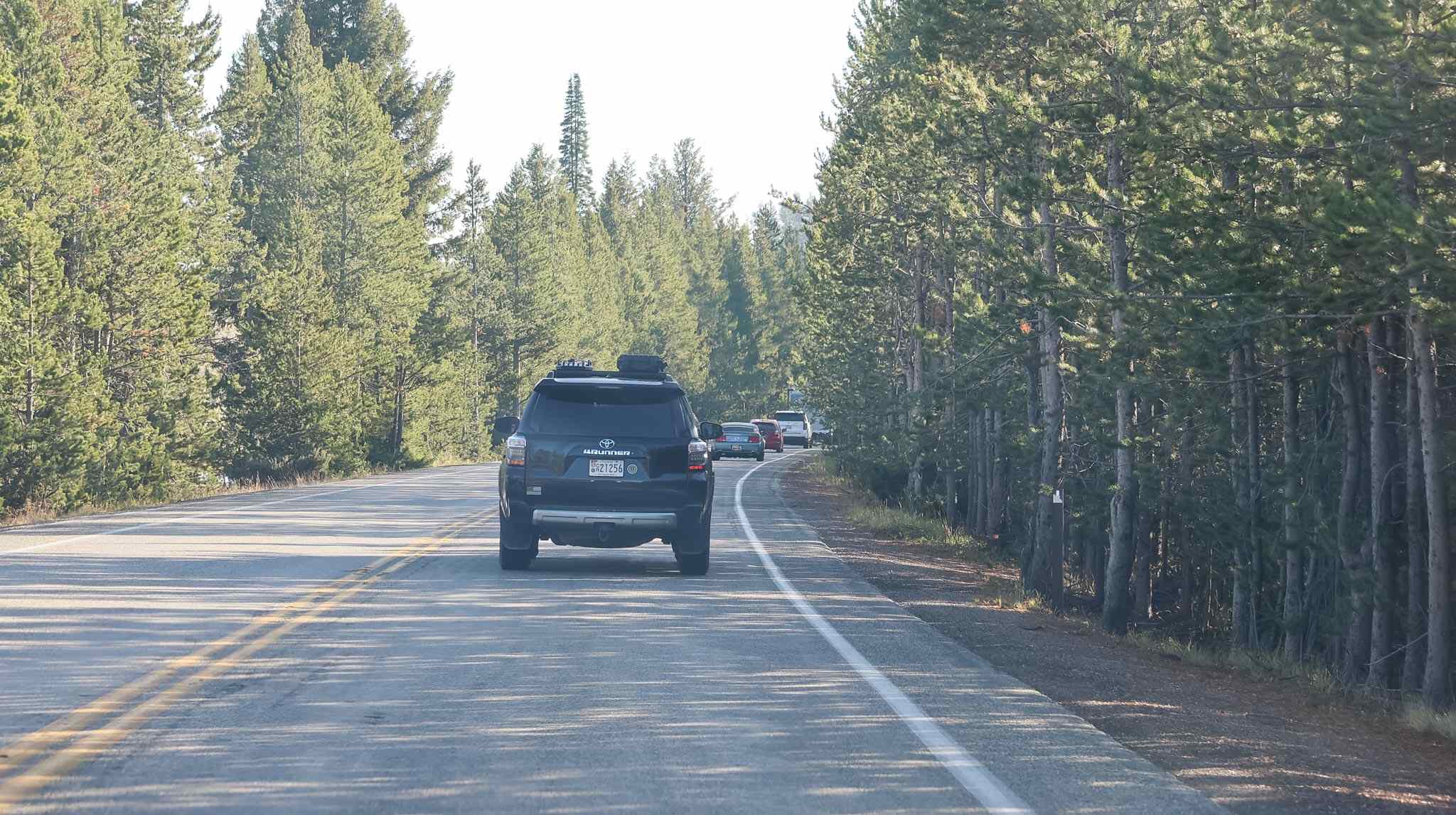 Yellowstone National Park