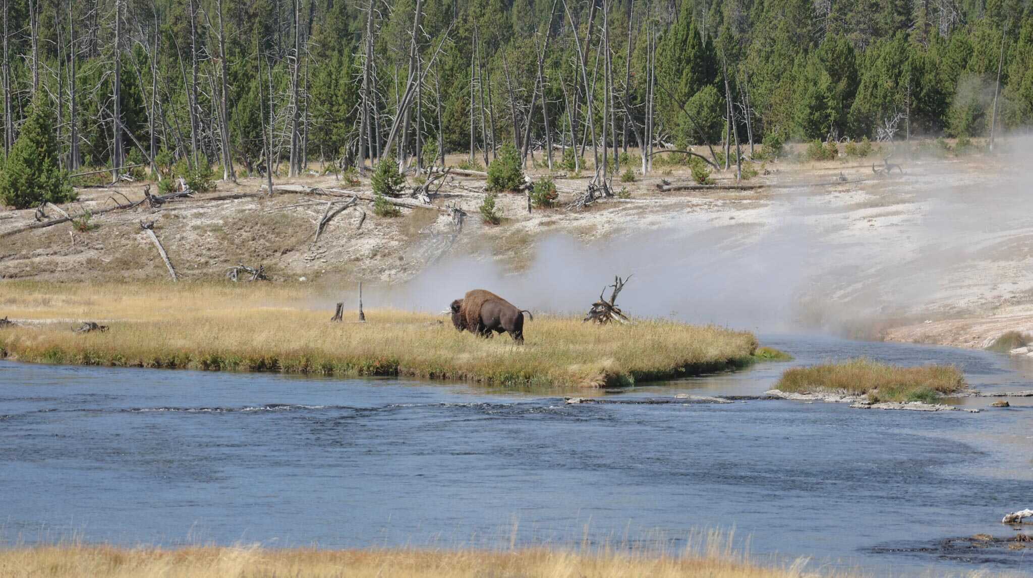 Yellowstone National Park