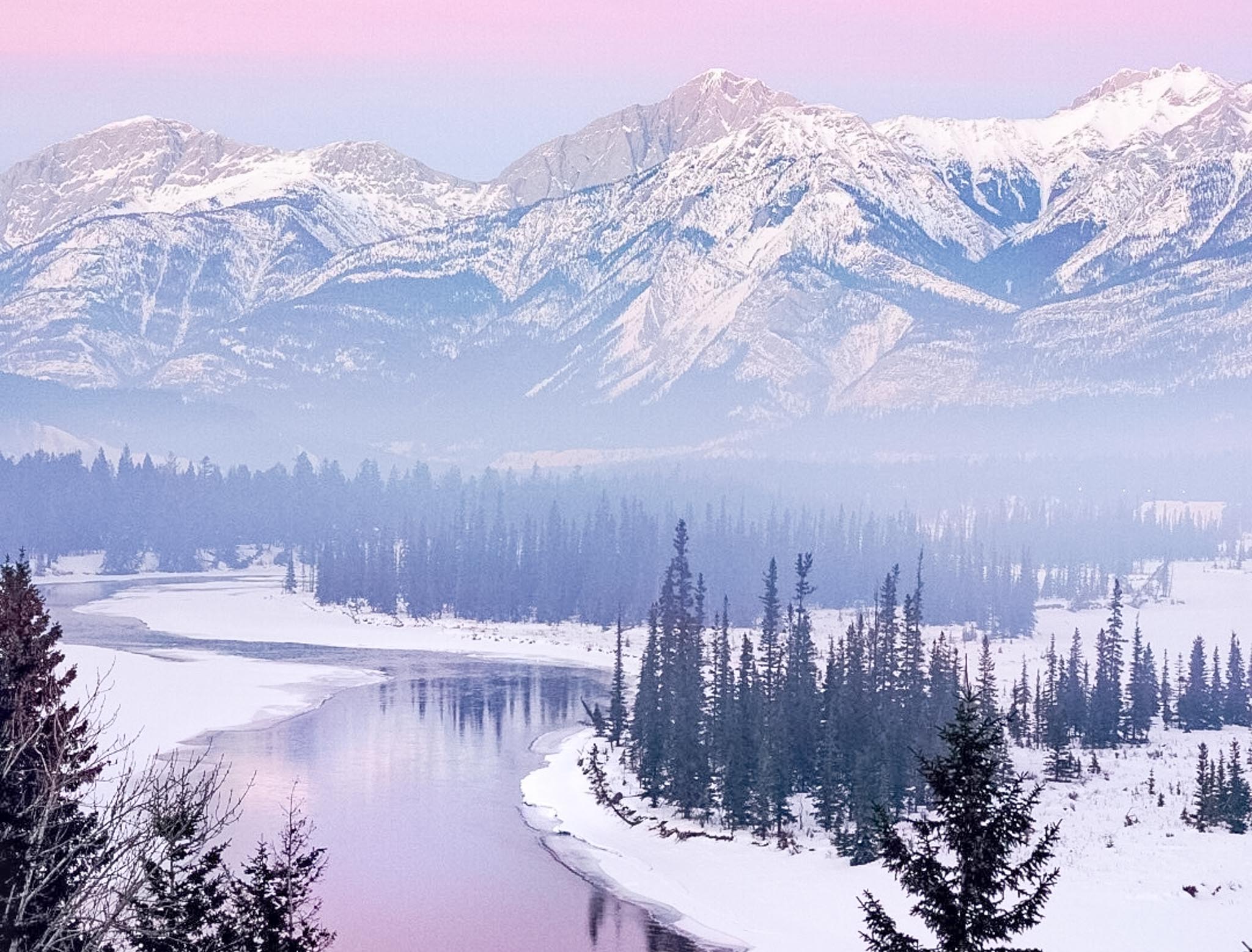 Jasper natuur in de winter