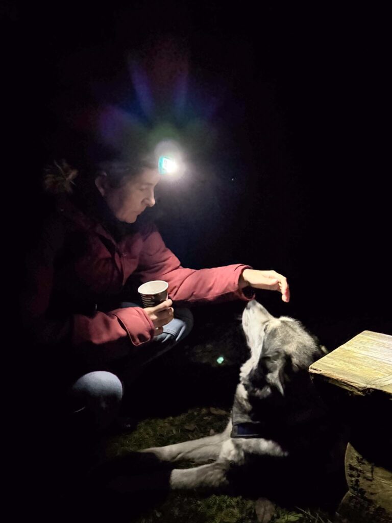 Wandelen met een husky in Thüringen