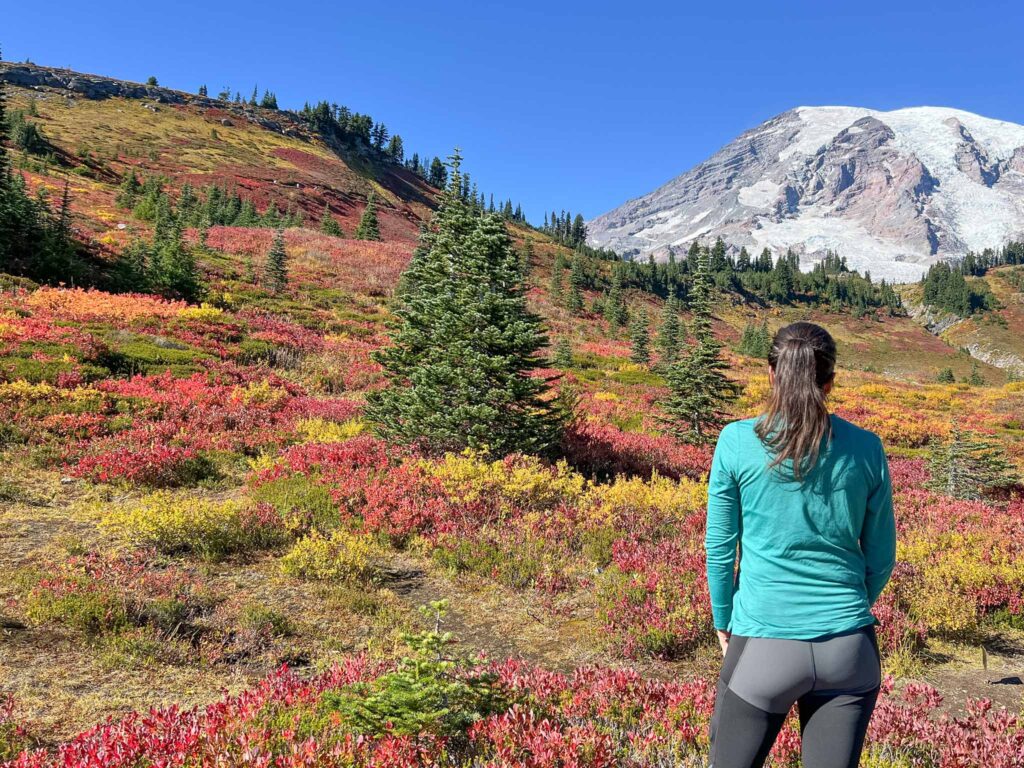  Mount Rainier National Park