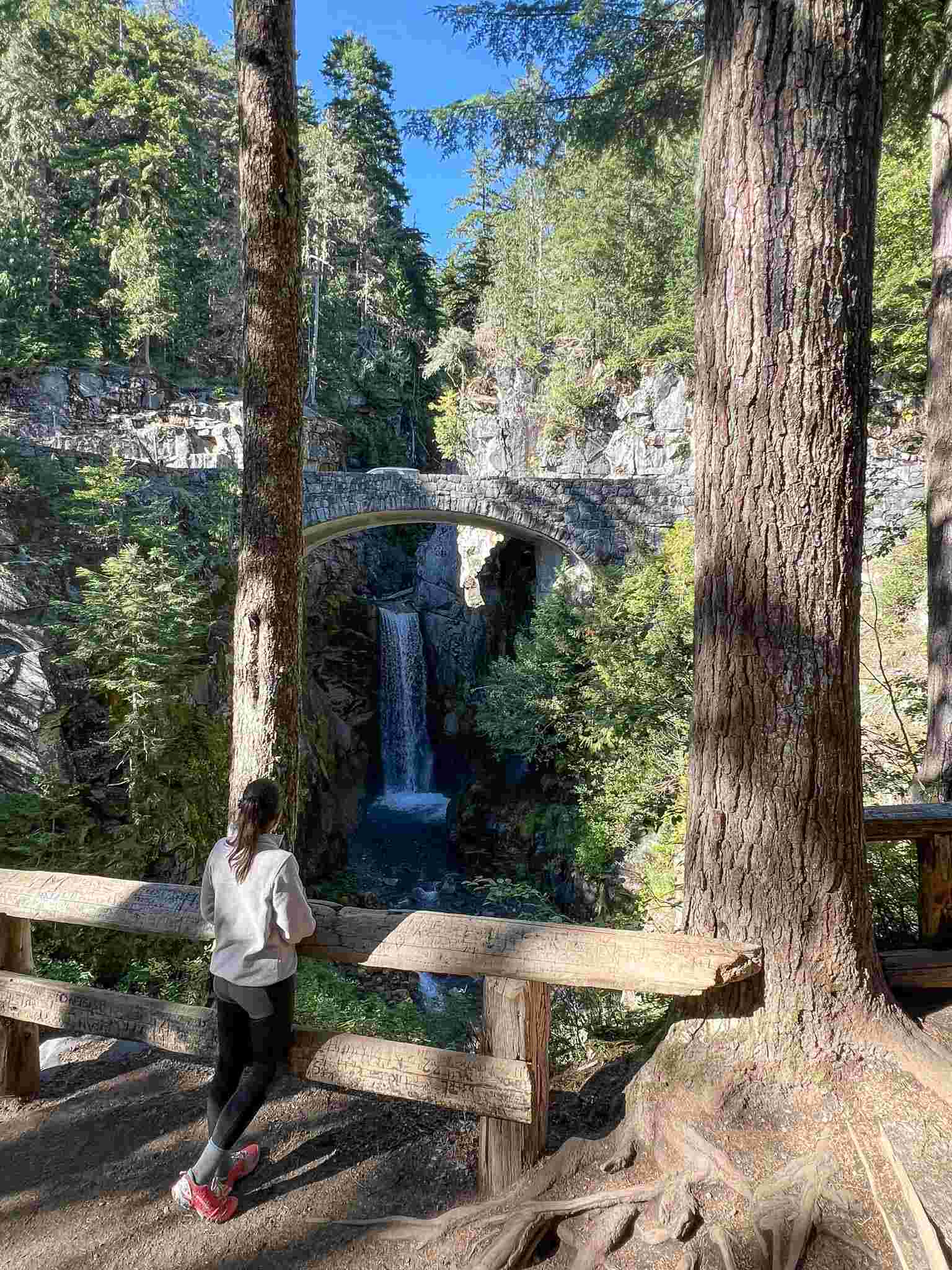 Comet Falls Mount Rainier National Park