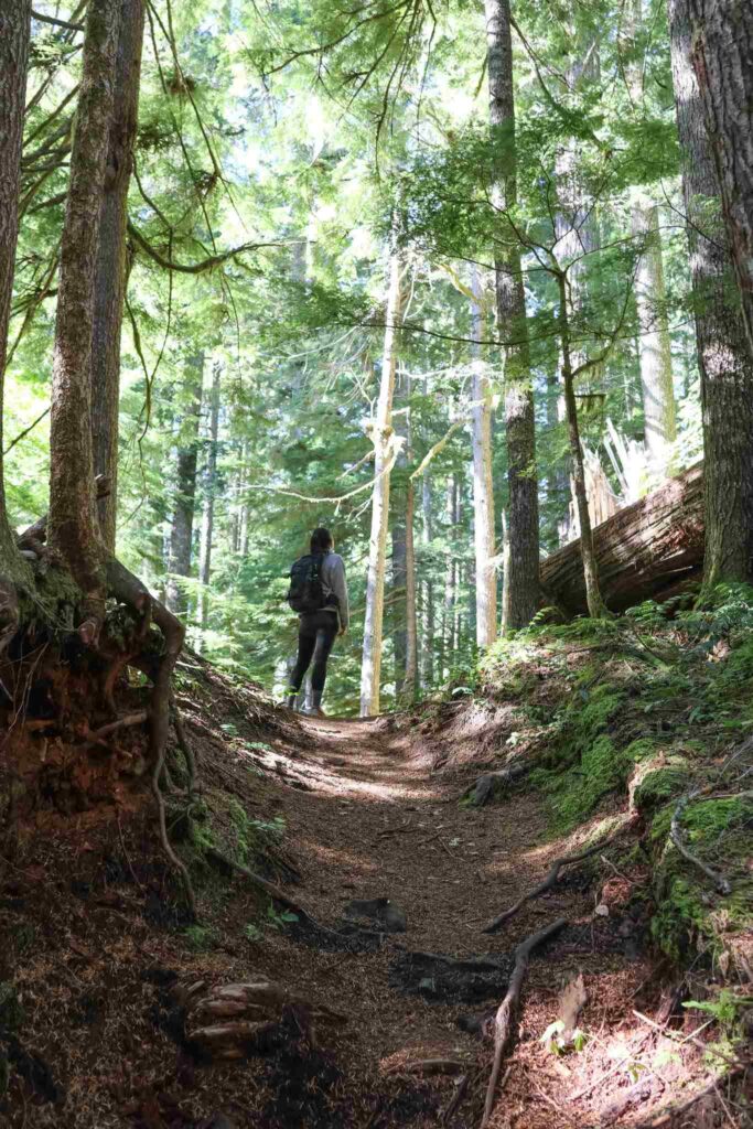 Wandelen Mount Rainier National Park