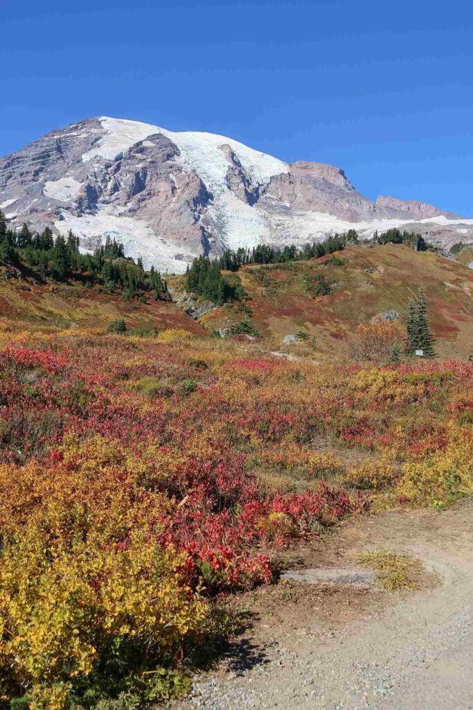 Paradise Inn Mount Rainier National Park