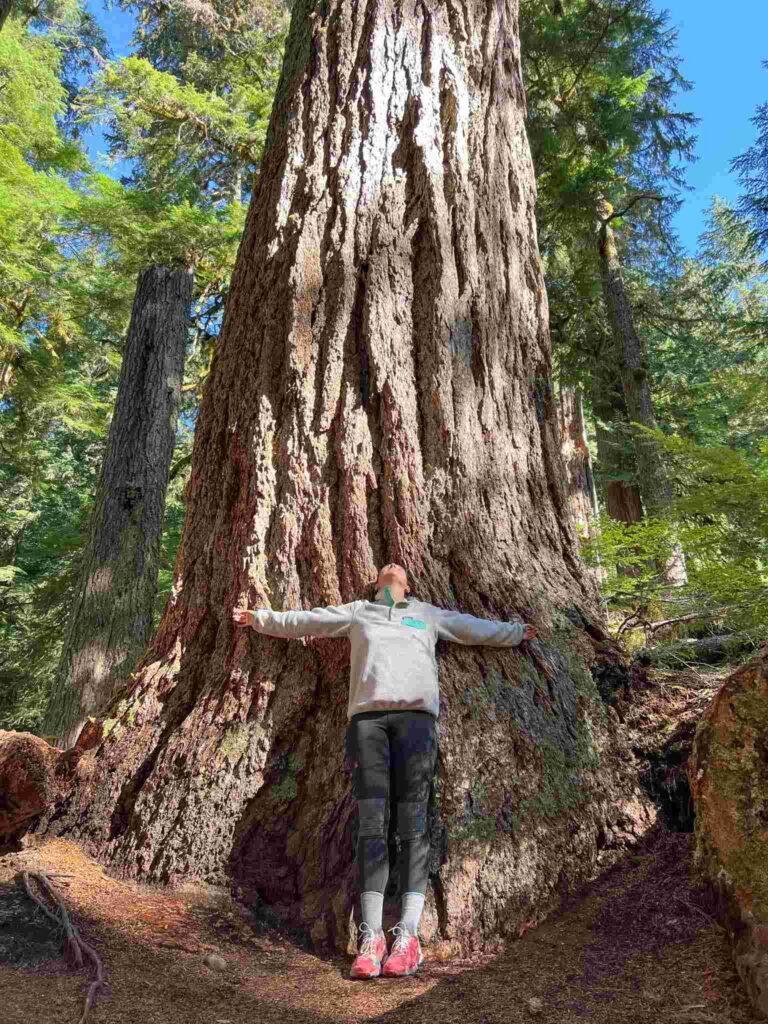 Wandelen Mount Rainier National Park
