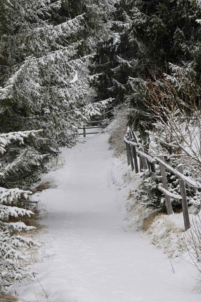 Wandelen in de winter in de Dolomieten
