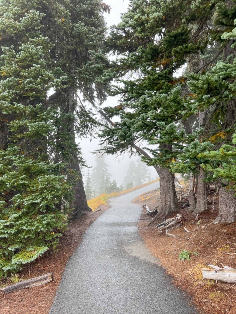 Hurricane Ridge 