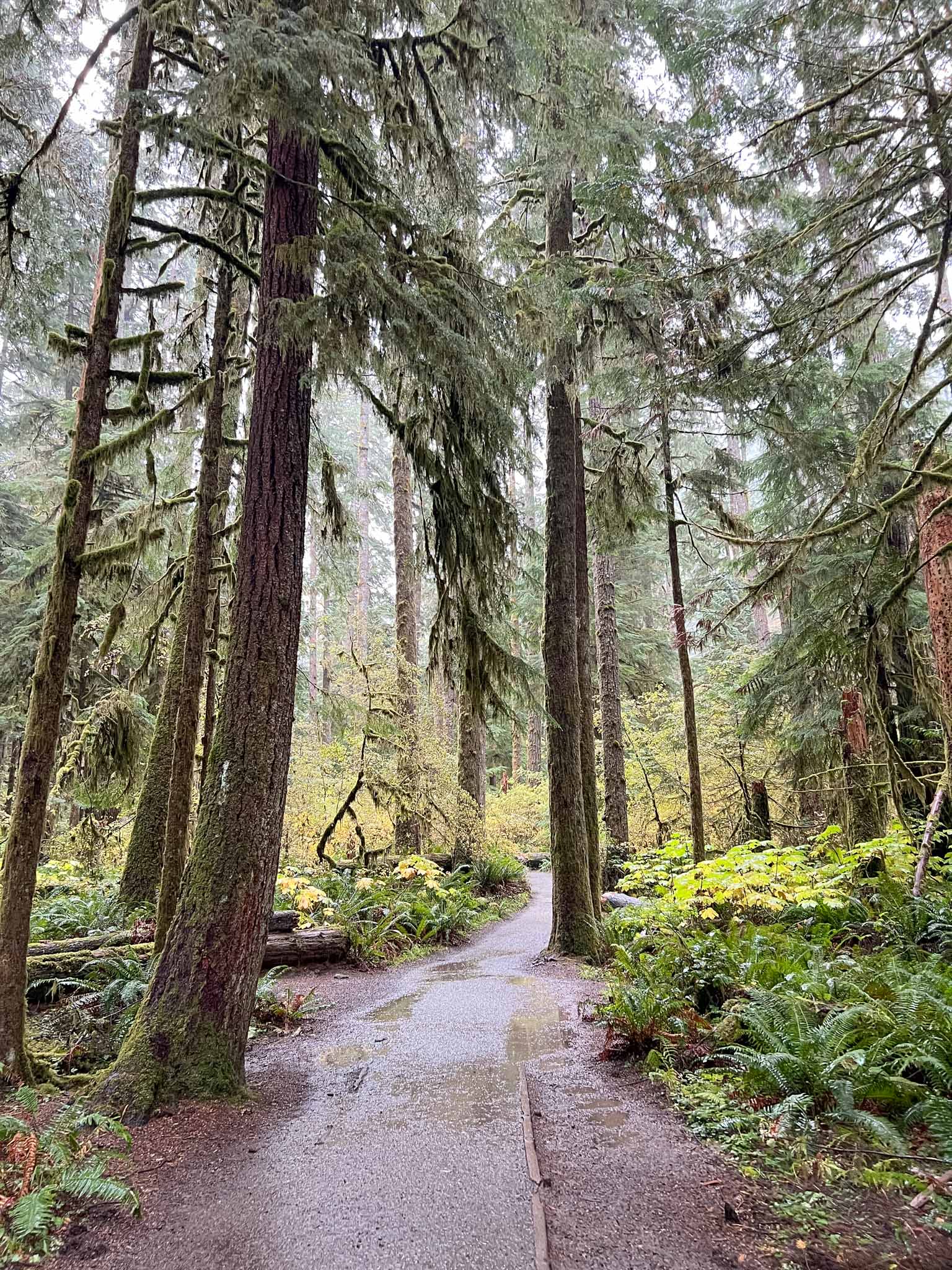 Olympic National Park 