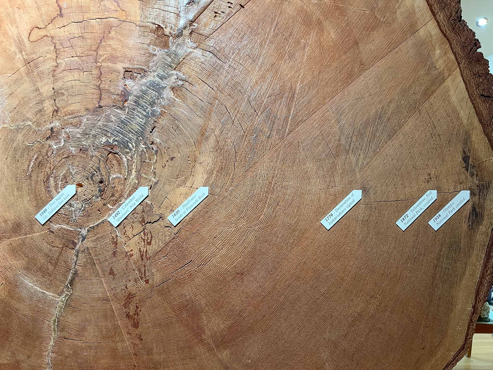 Visitor Center Olympic National Park 