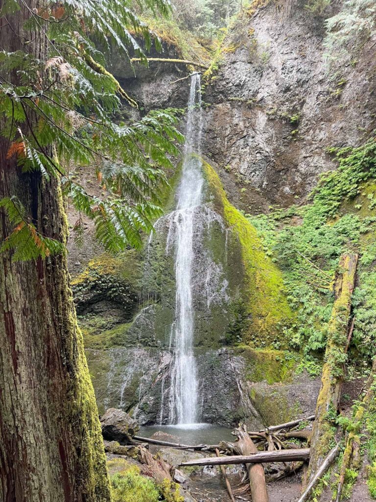 Marymere Falls in Olympic National Park 