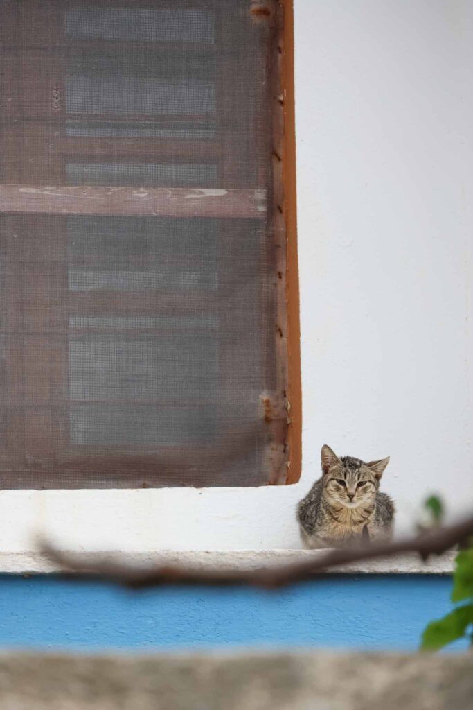 Paros in Griekenland