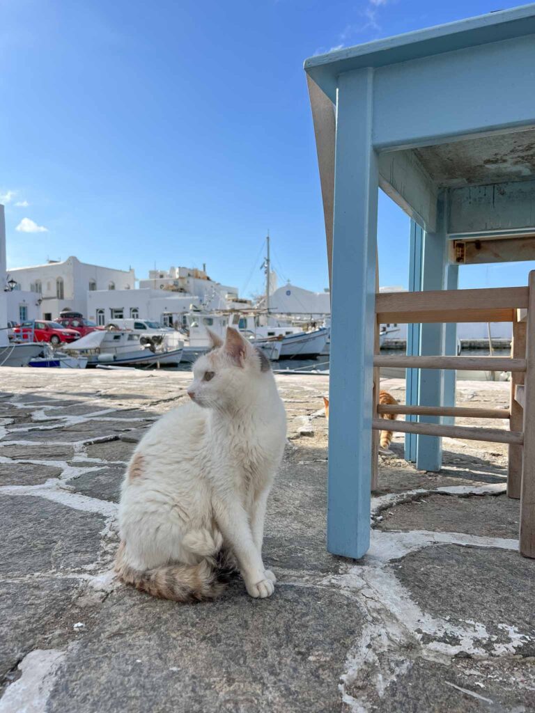 Naousa op Paros