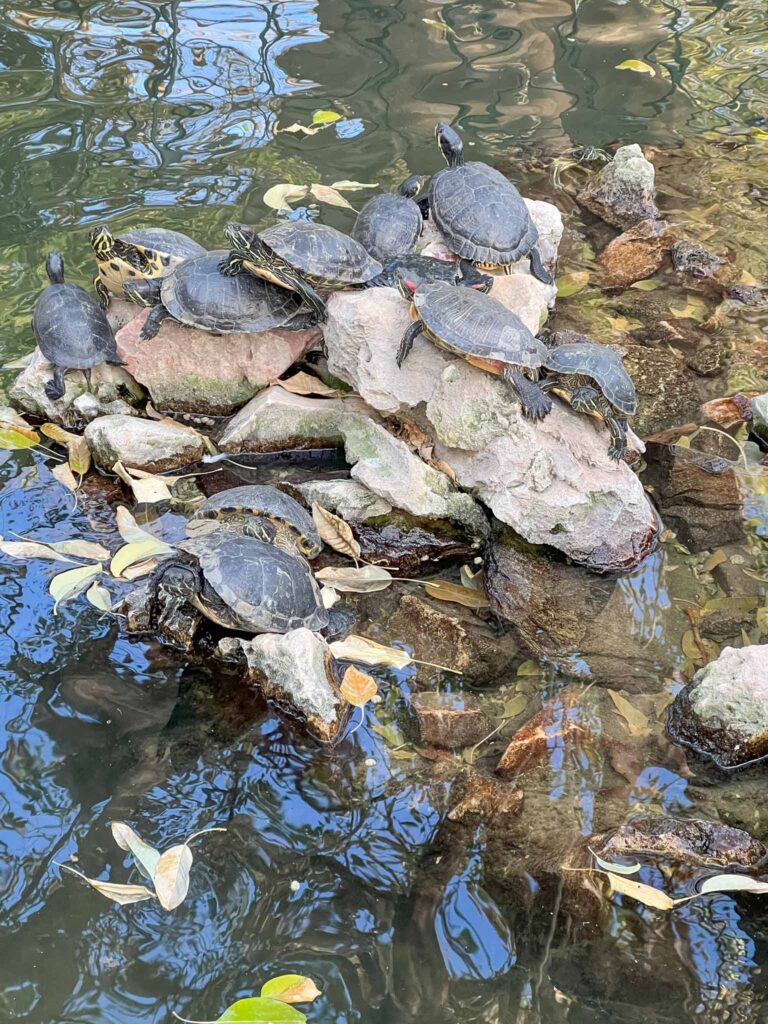 Nationale tuin van Athene