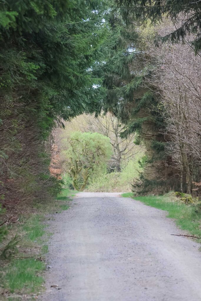 Wandelen op Bornholm
